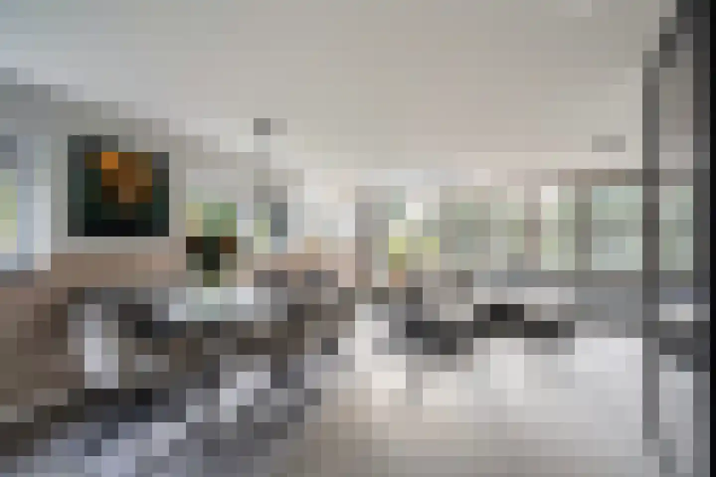 Koedoodsekade 2 Rhoon thumbnail 6