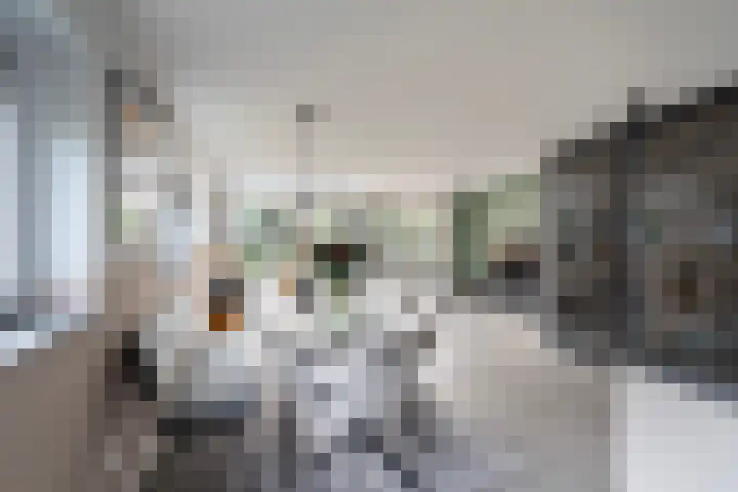 Koedoodsekade 2 Rhoon thumbnail 7