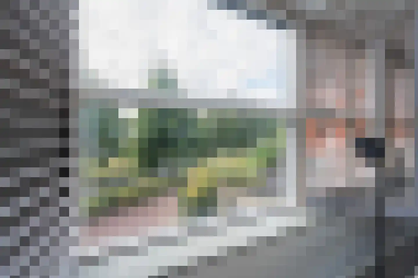 Koedoodsekade 2 Rhoon thumbnail 9