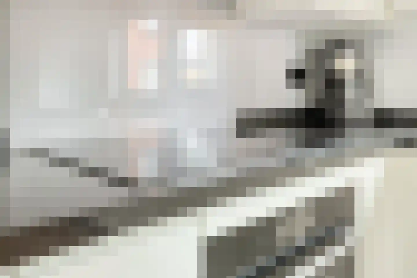 Koedoodsekade 22 Rhoon thumbnail 12