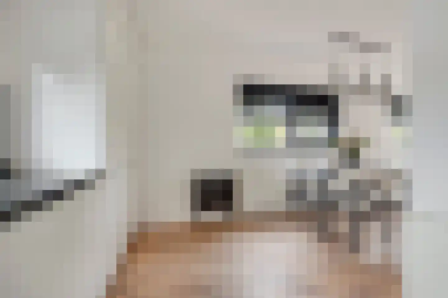 Koedoodsekade 22 Rhoon thumbnail 13