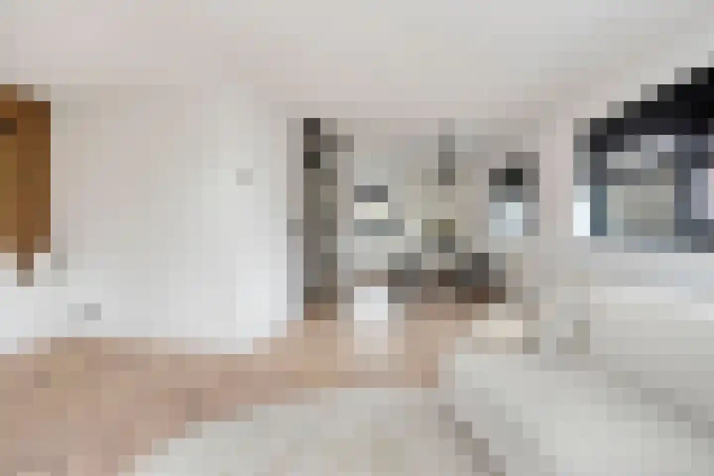 Koedoodsekade 22 Rhoon thumbnail 14