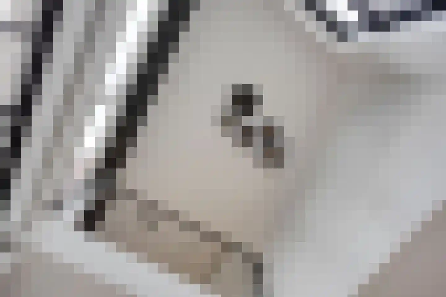 Koedoodsekade 22 Rhoon thumbnail 15