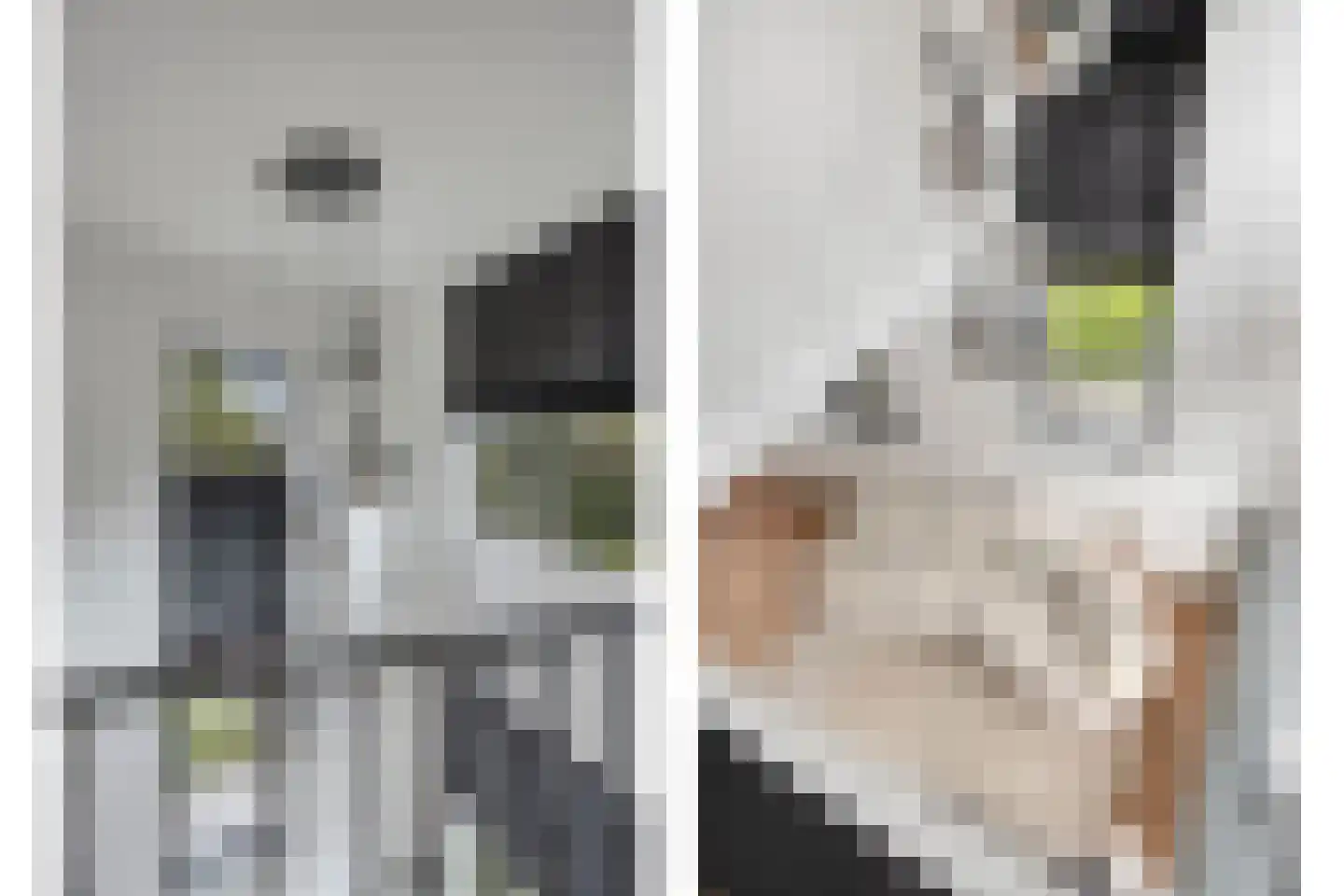 Koedoodsekade 22 Rhoon thumbnail 16