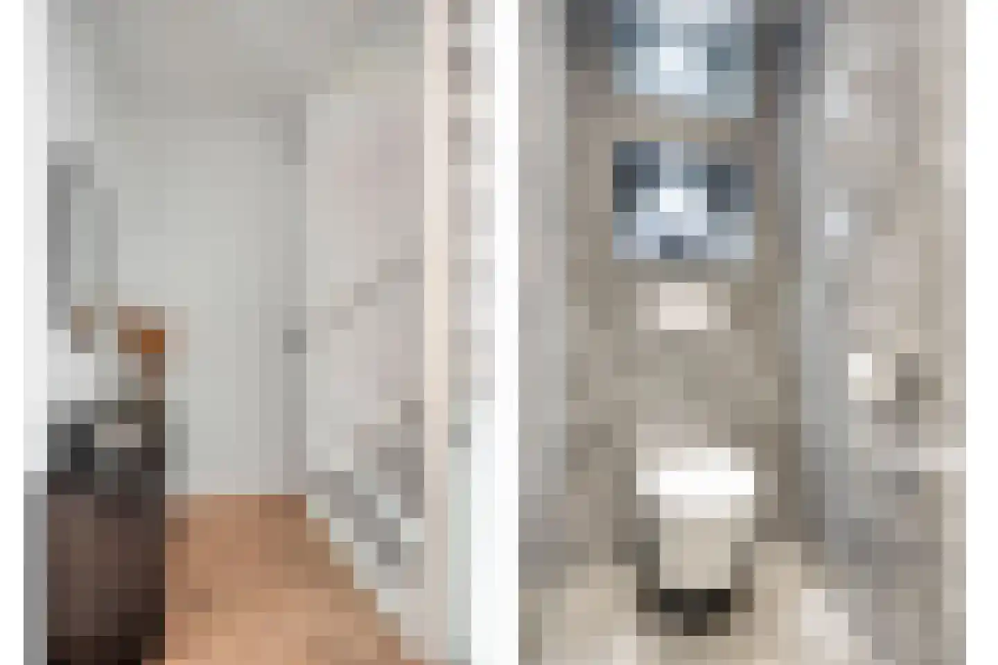 Koedoodsekade 22 Rhoon thumbnail 17