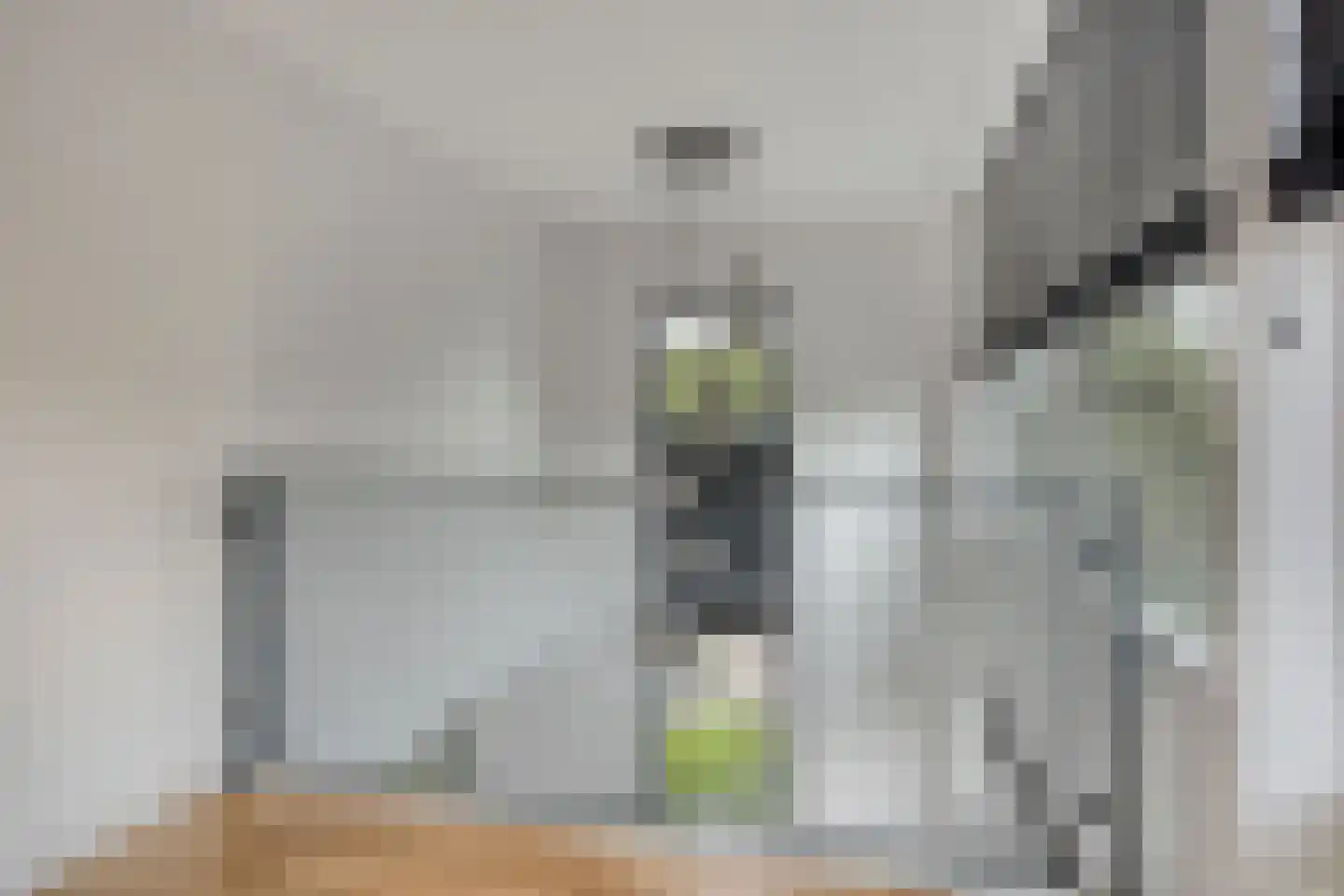 Koedoodsekade 22 Rhoon thumbnail 23