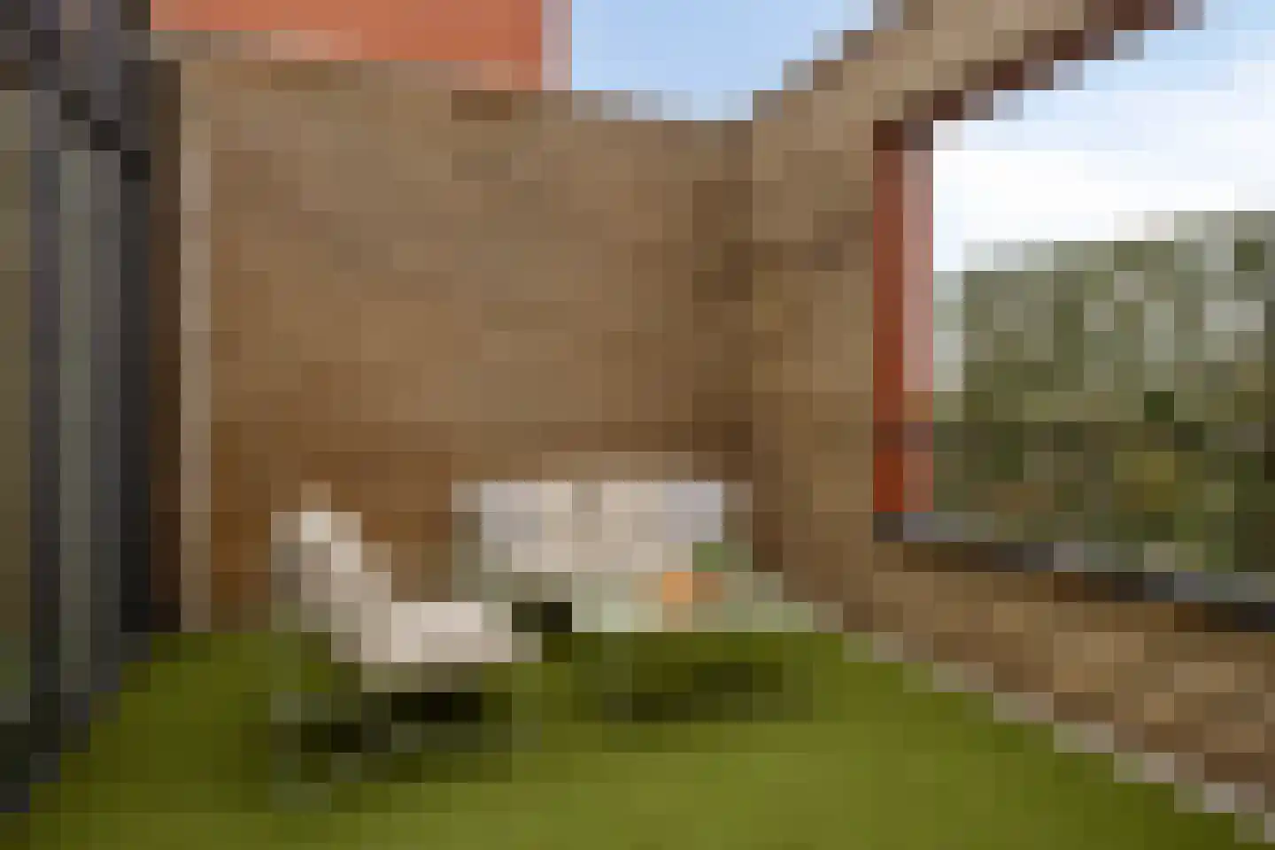 Koedoodsekade 22 Rhoon thumbnail 25