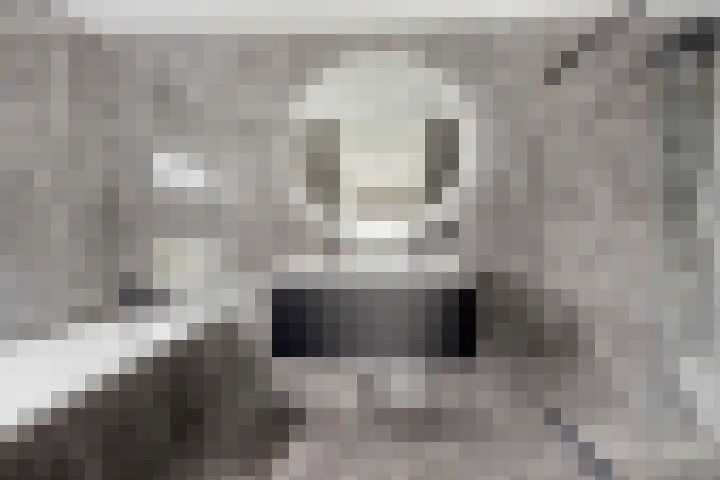 Koedoodsekade 22 Rhoon thumbnail 27