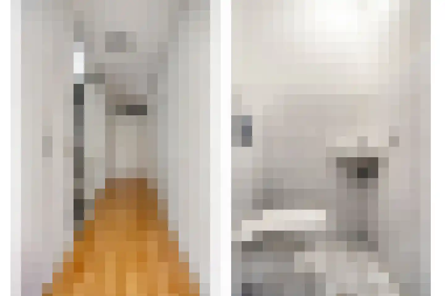 Koedoodsekade 22 Rhoon thumbnail 30
