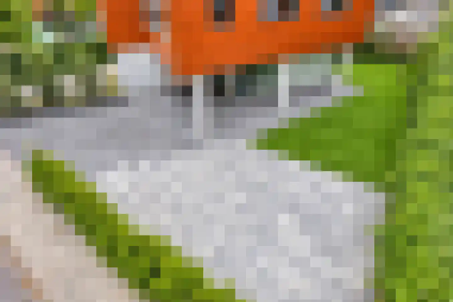 Koedoodsekade 22 Rhoon thumbnail 39