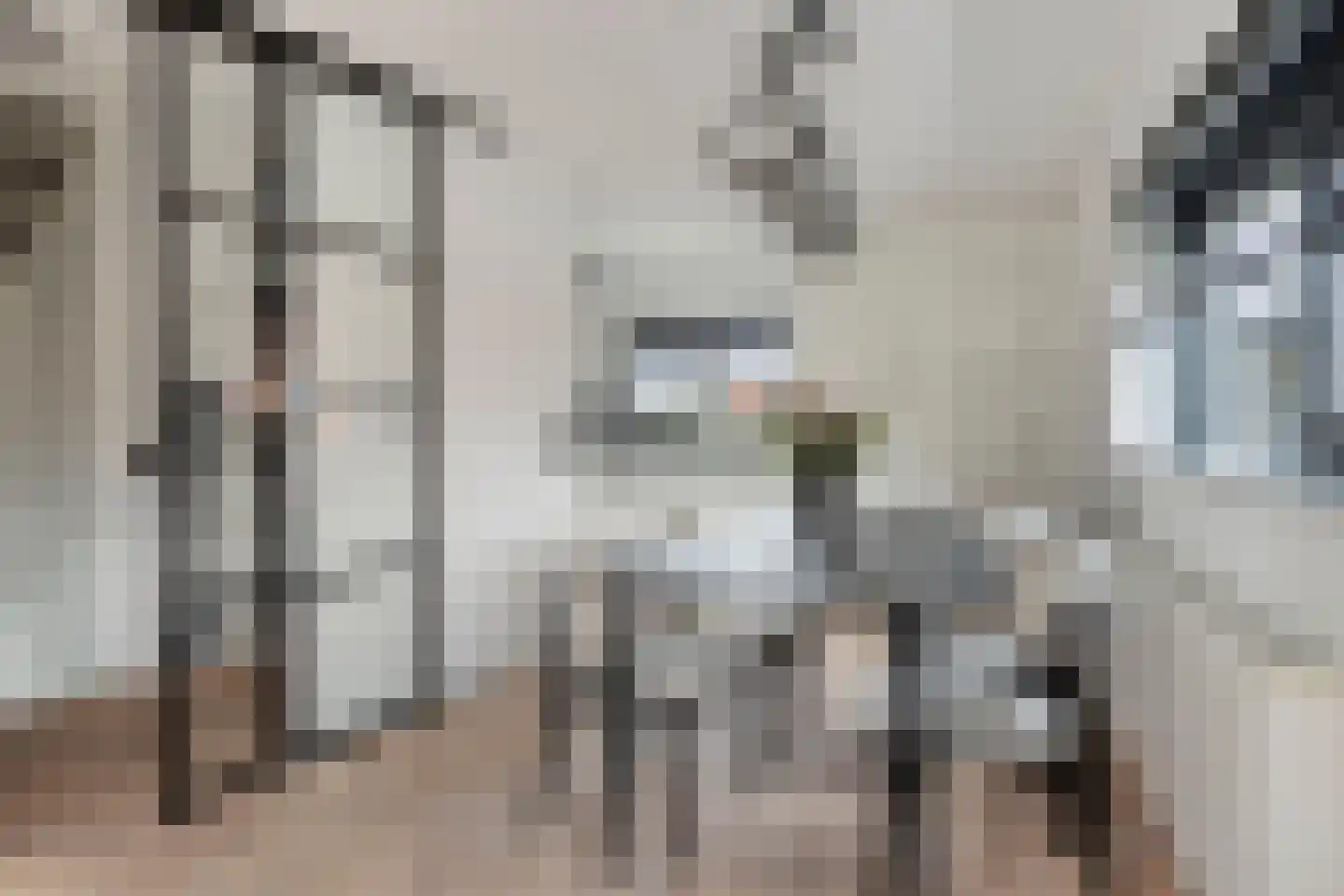 Koedoodsekade 22 Rhoon thumbnail 5