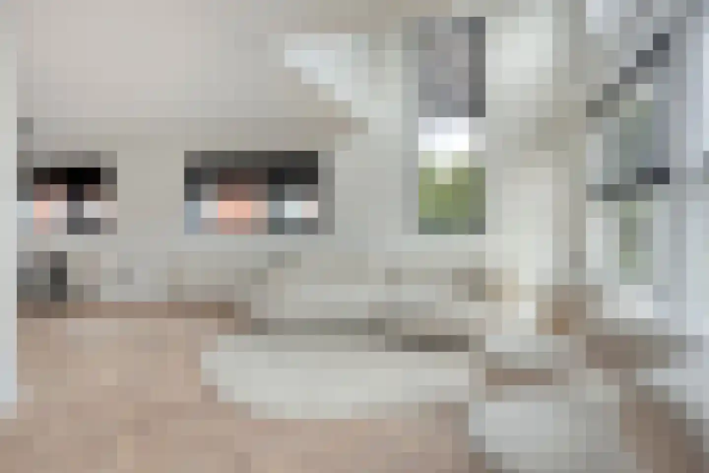 Koedoodsekade 22 Rhoon thumbnail 6