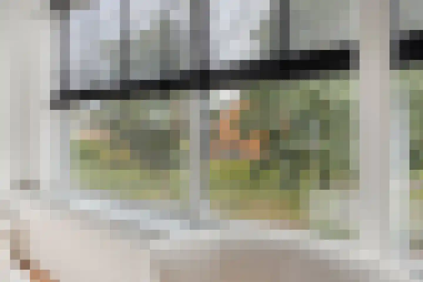 Koedoodsekade 22 Rhoon thumbnail 8