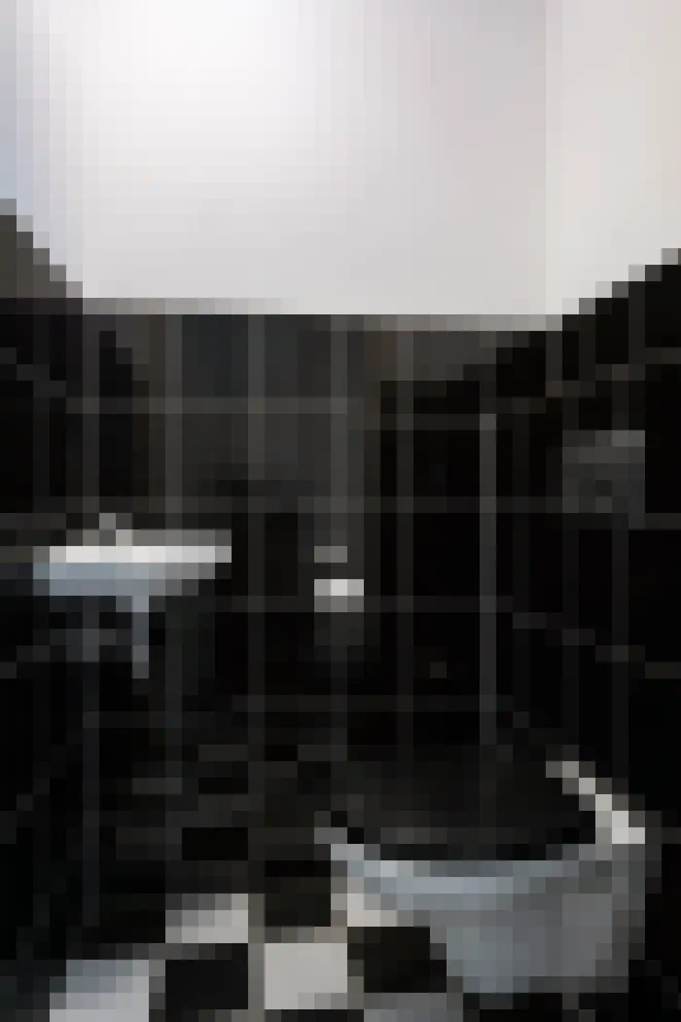 Koedoodsekade 28 Rhoon thumbnail 13