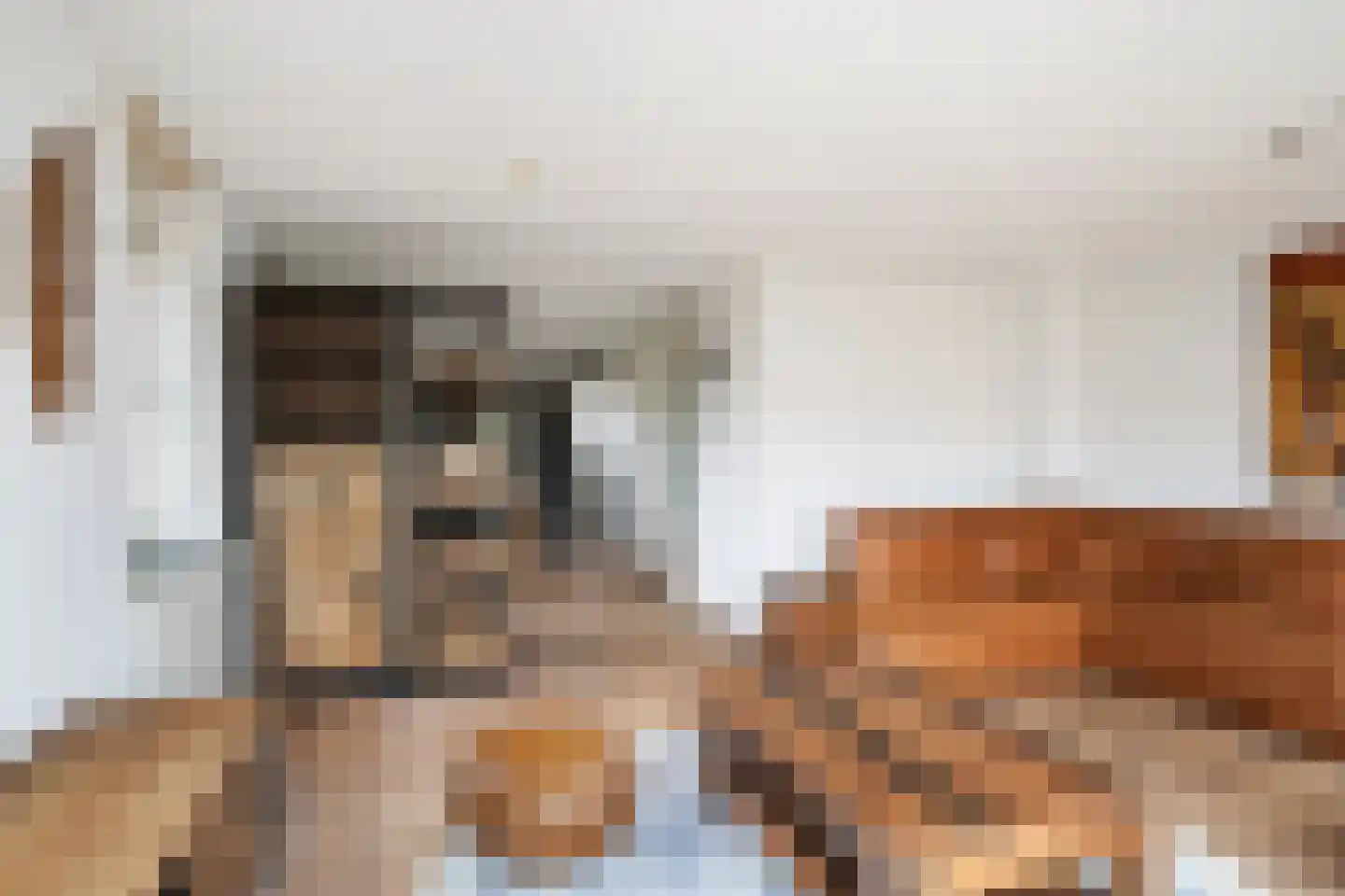 Koedoodsekade 28 Rhoon thumbnail 17