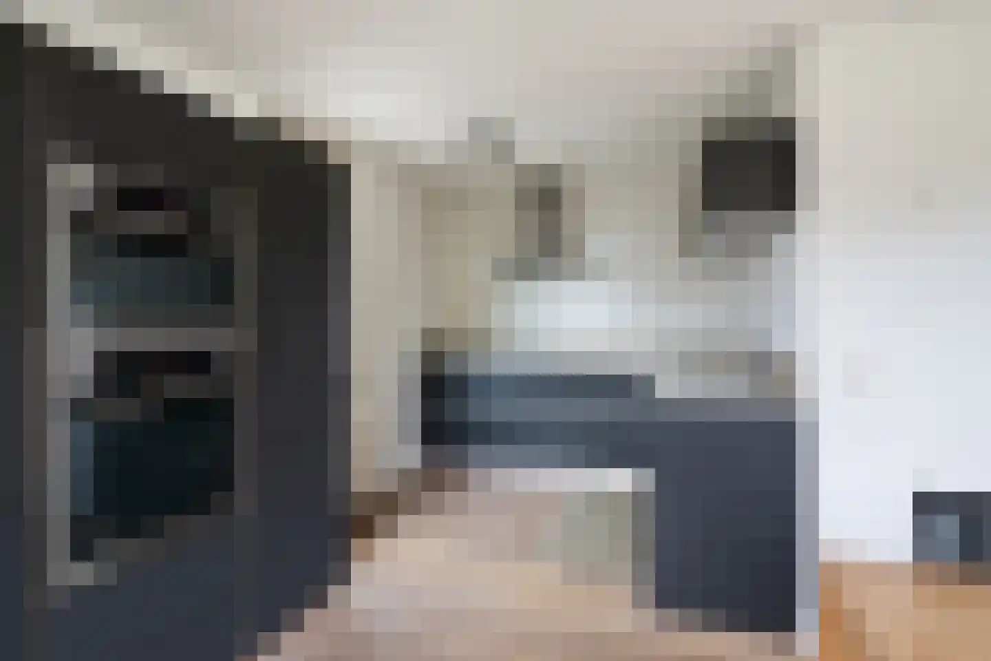 Koedoodsekade 28 Rhoon thumbnail 22
