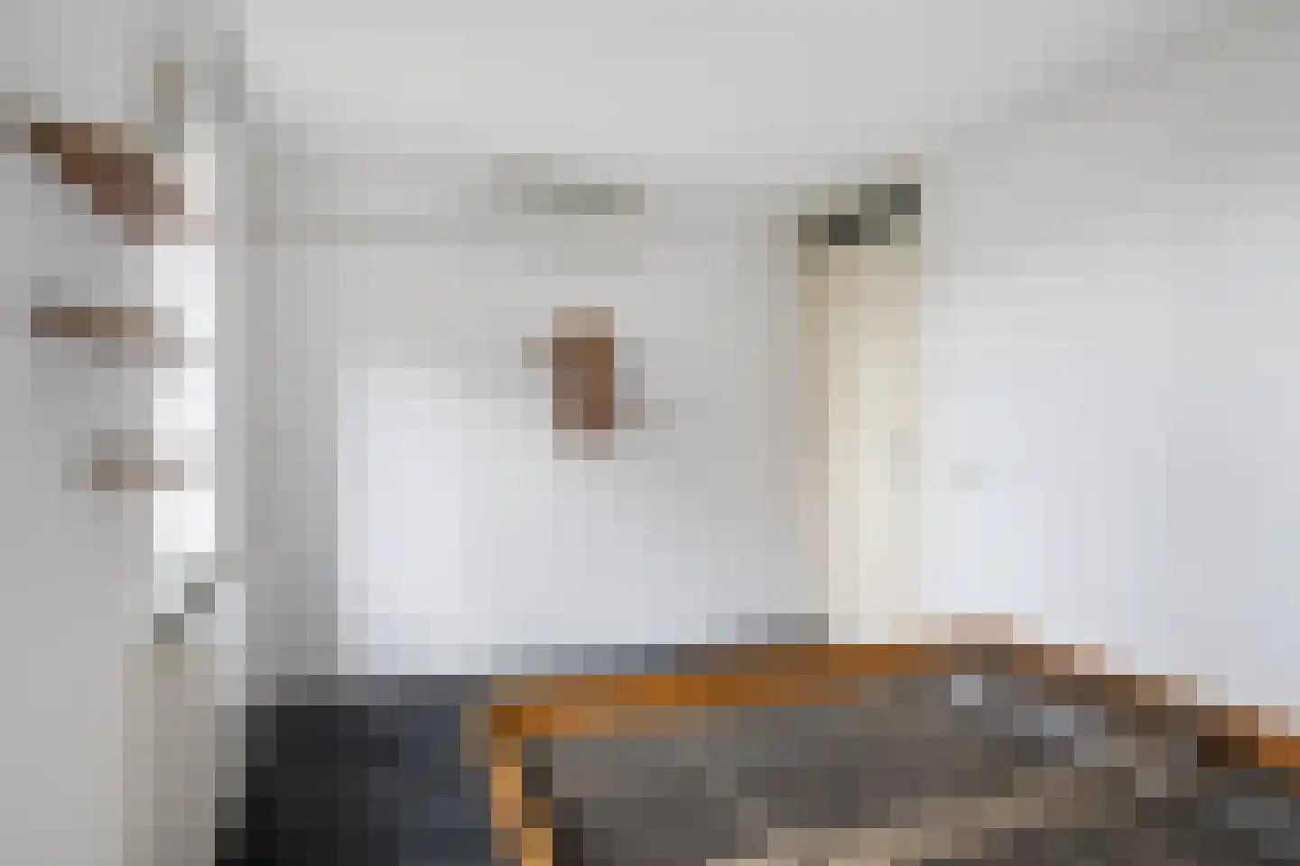Koedoodsekade 28 Rhoon thumbnail 26