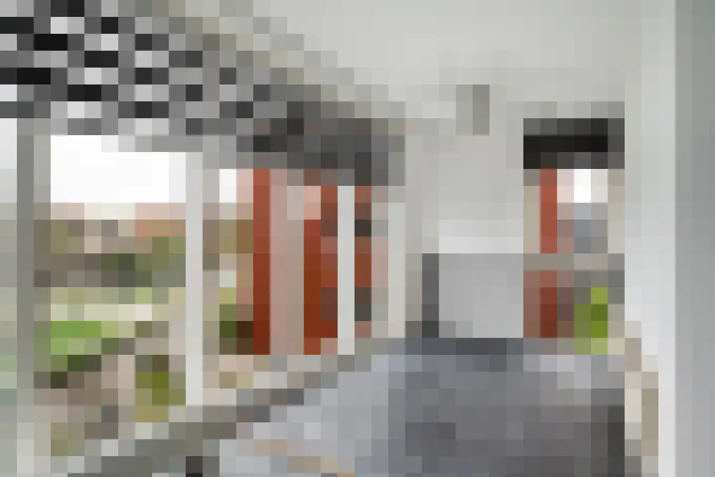 Koedoodsekade 28 Rhoon thumbnail 30
