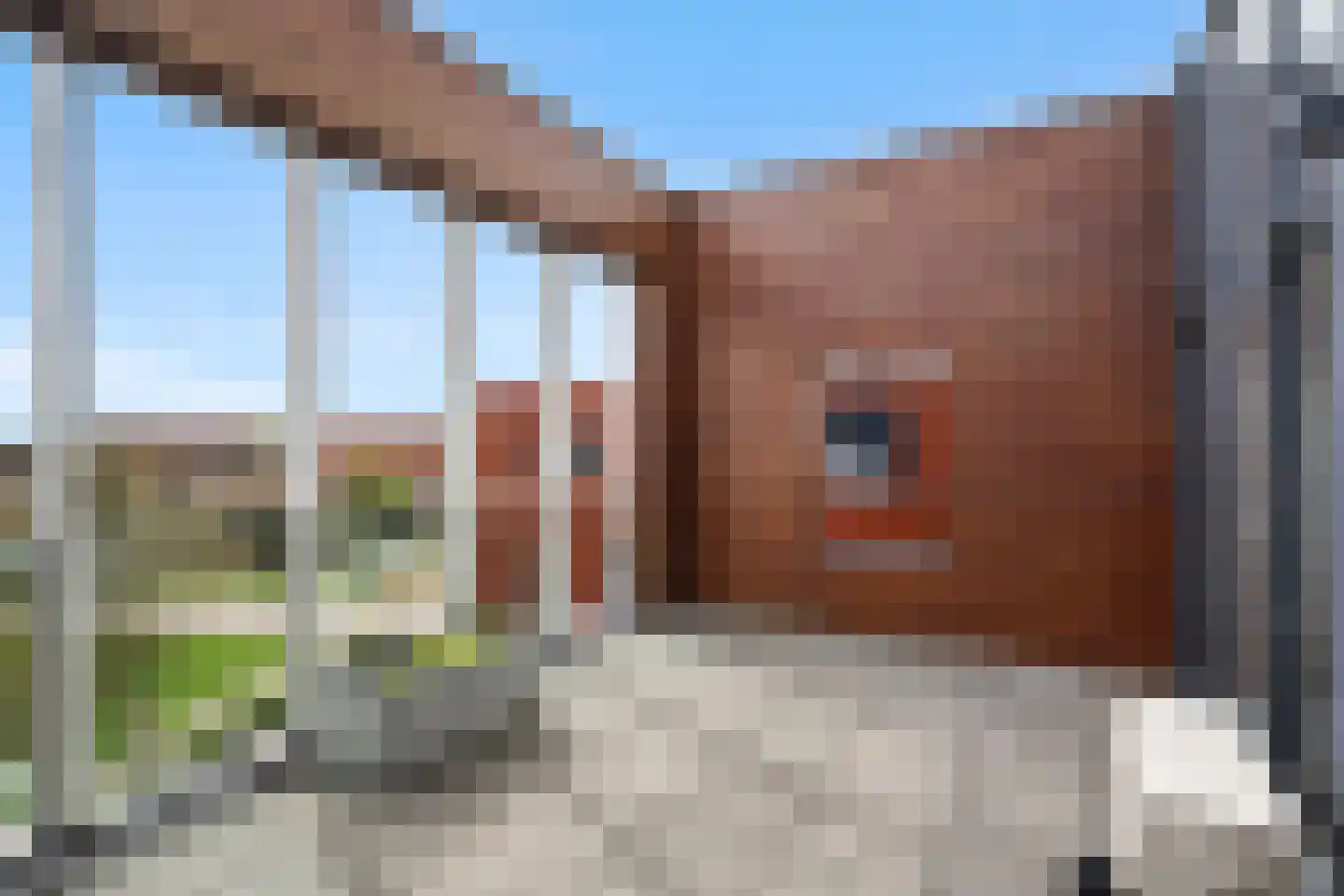 Koedoodsekade 28 Rhoon thumbnail 40