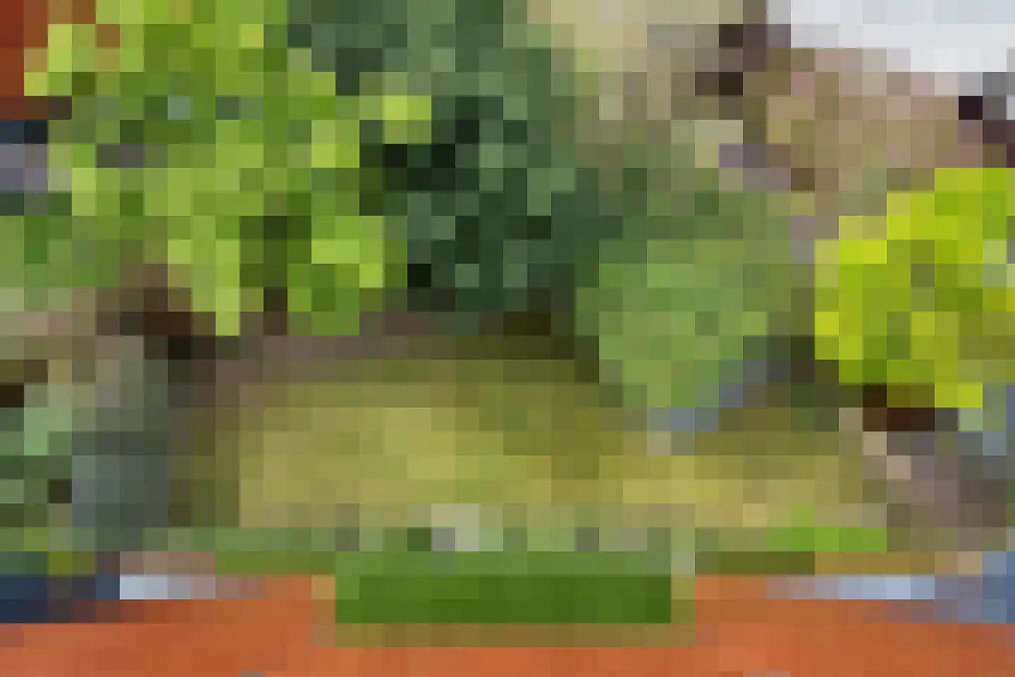 Koedoodsekade 28 Rhoon thumbnail 43