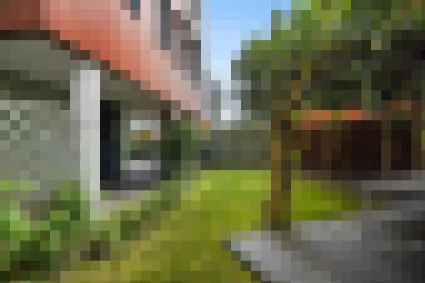 Koedoodsekade 28 Rhoon thumbnail 44