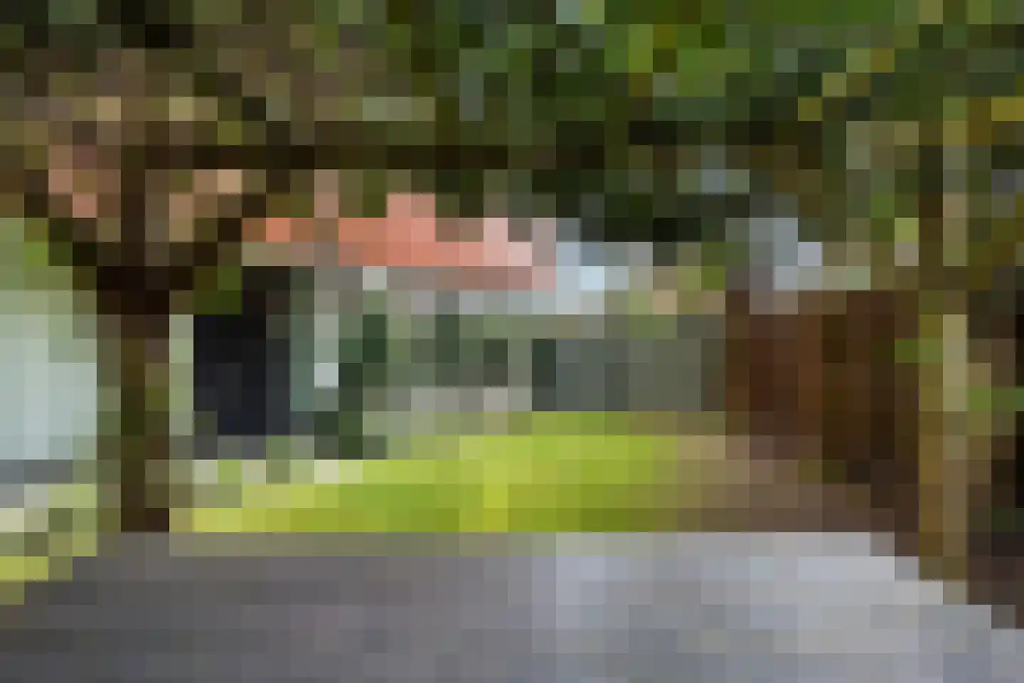 Koedoodsekade 28 Rhoon thumbnail 45