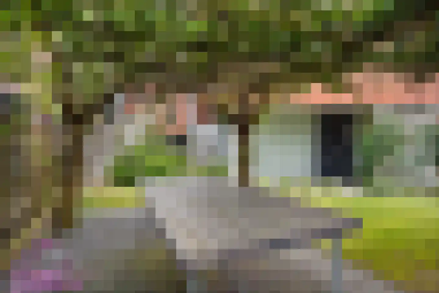 Koedoodsekade 28 Rhoon thumbnail 46