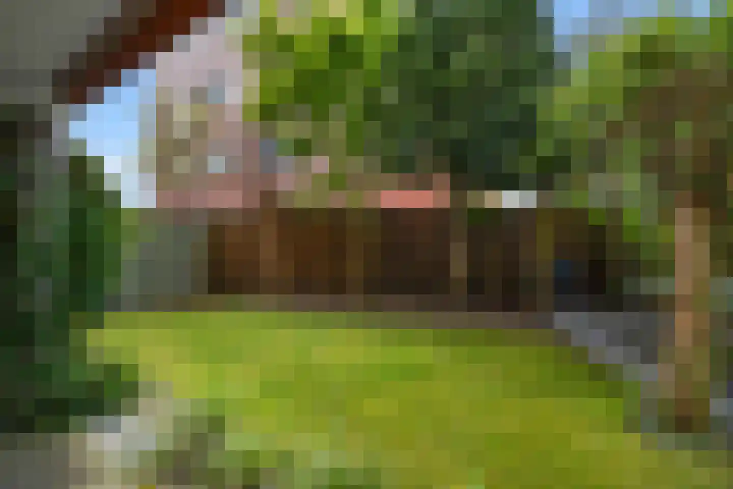 Koedoodsekade 28 Rhoon thumbnail 48