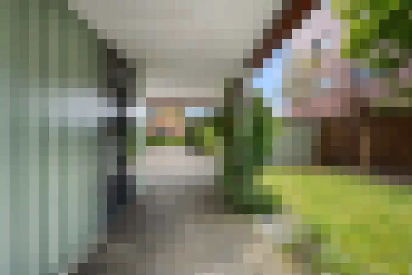 Koedoodsekade 28 Rhoon thumbnail 7