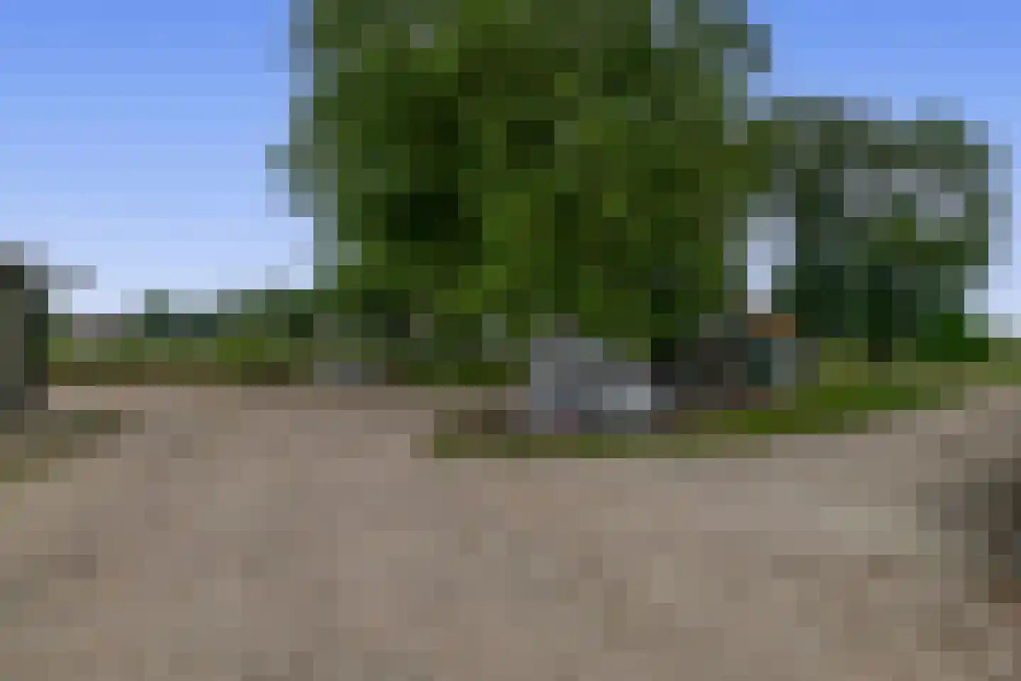 Koedrift 11 IJhorst thumbnail 67