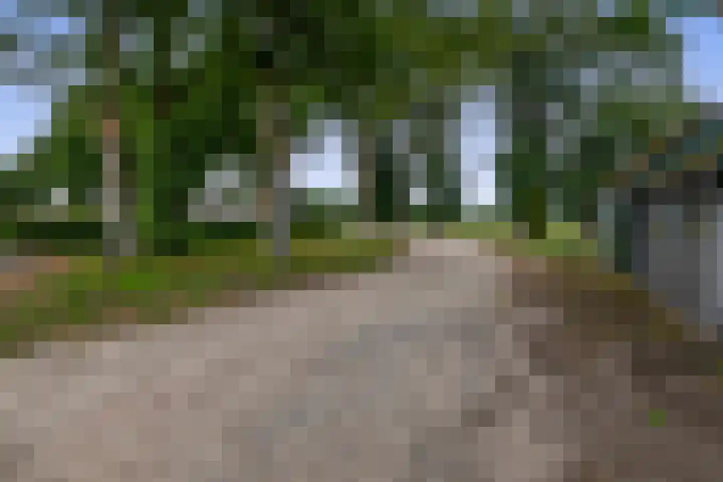 Koedrift 11 IJhorst thumbnail 68