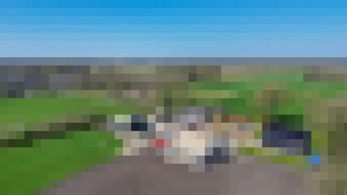 Koedrift 11 IJhorst thumbnail 87