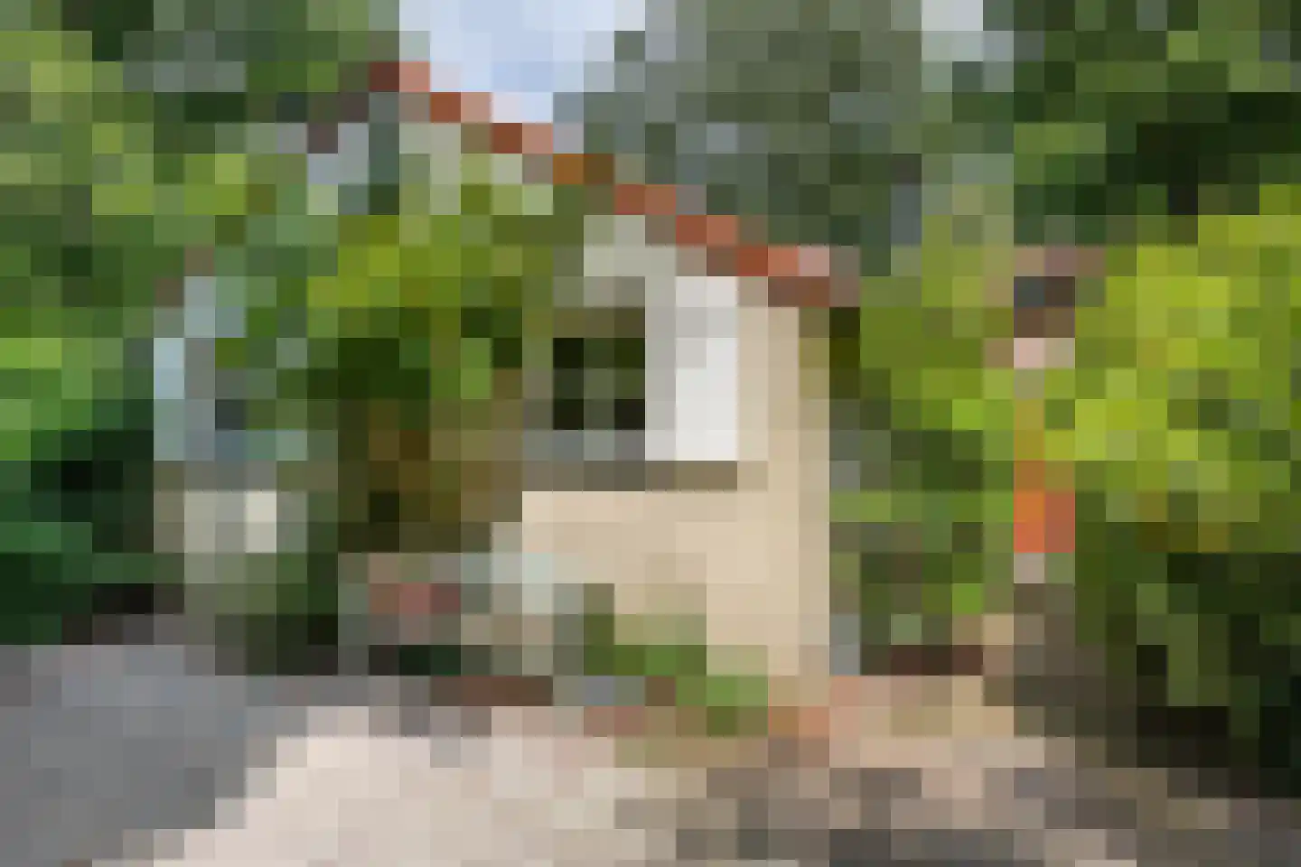 Koeduinweg 1 Aerdenhout thumbnail 11