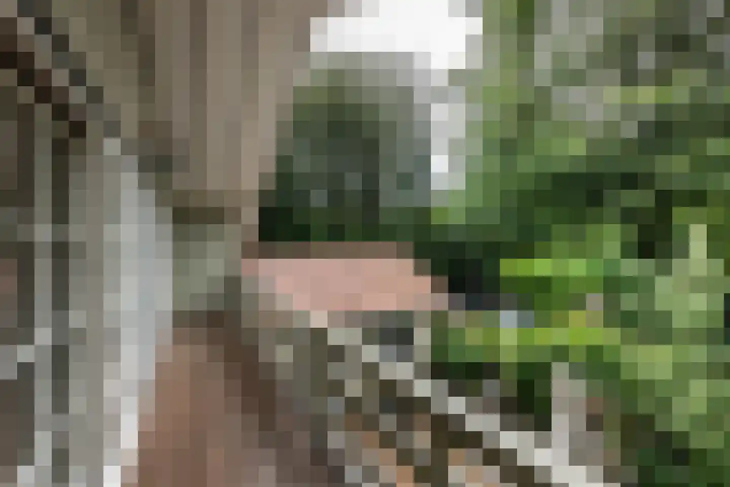 Koeduinweg 1 Aerdenhout thumbnail 27