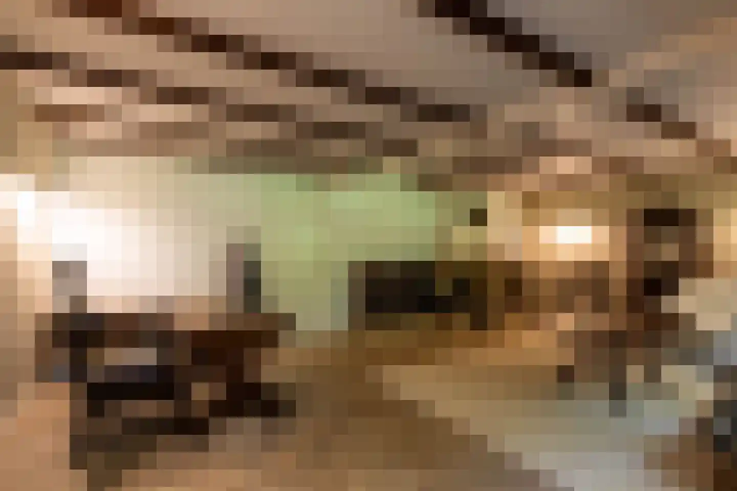Koeduinweg 1 Aerdenhout thumbnail 37