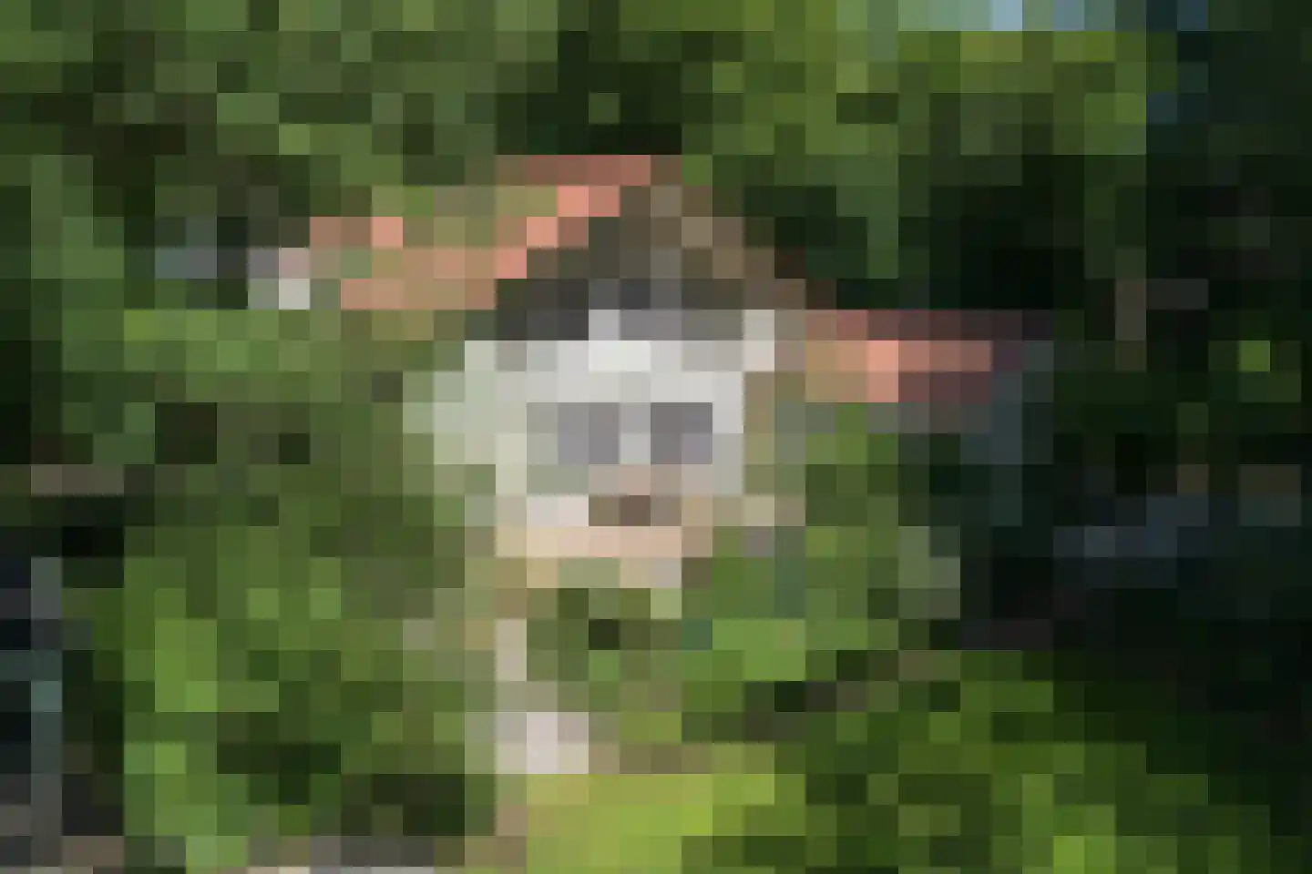 Koeduinweg 1 Aerdenhout thumbnail 38