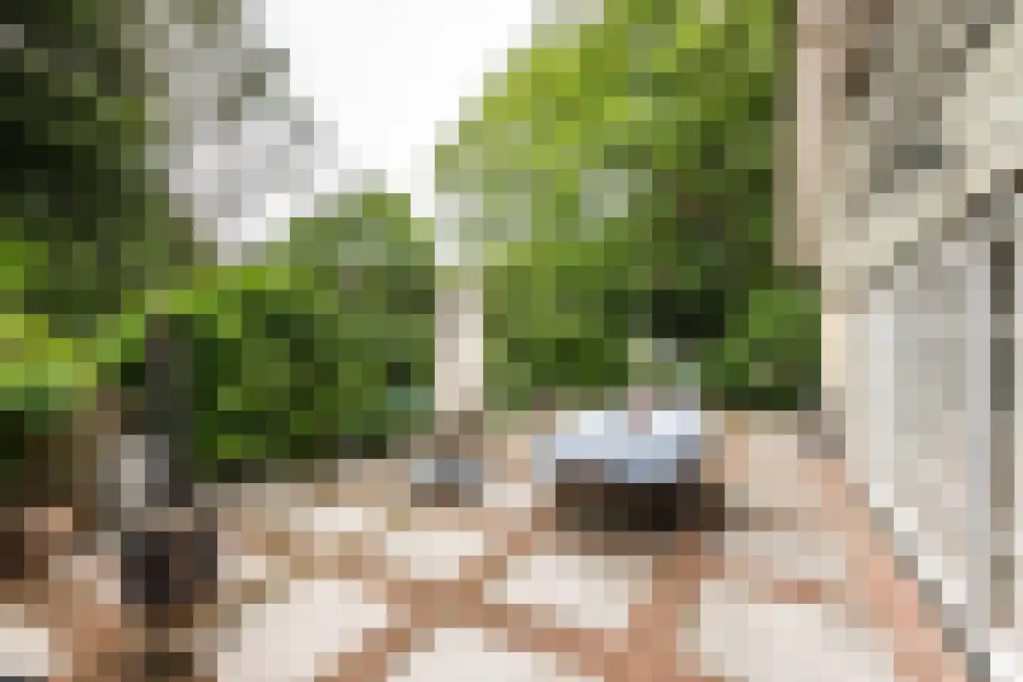 Koeduinweg 1 Aerdenhout thumbnail 40
