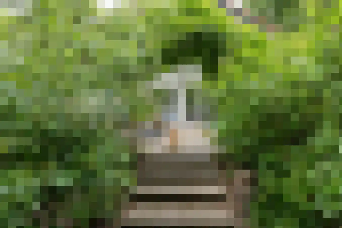 Koeduinweg 1 Aerdenhout thumbnail 42