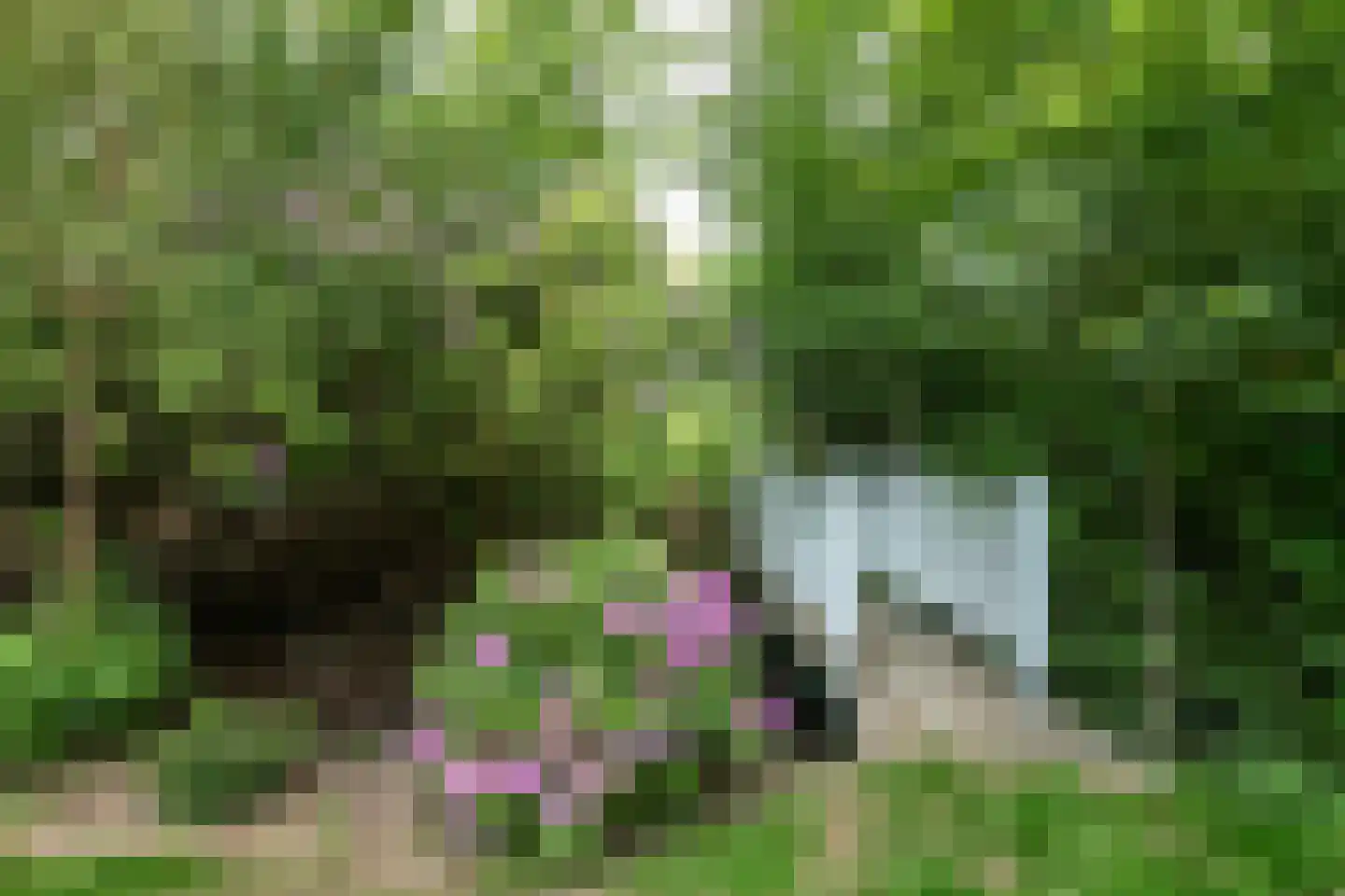 Koeduinweg 1 Aerdenhout thumbnail 45