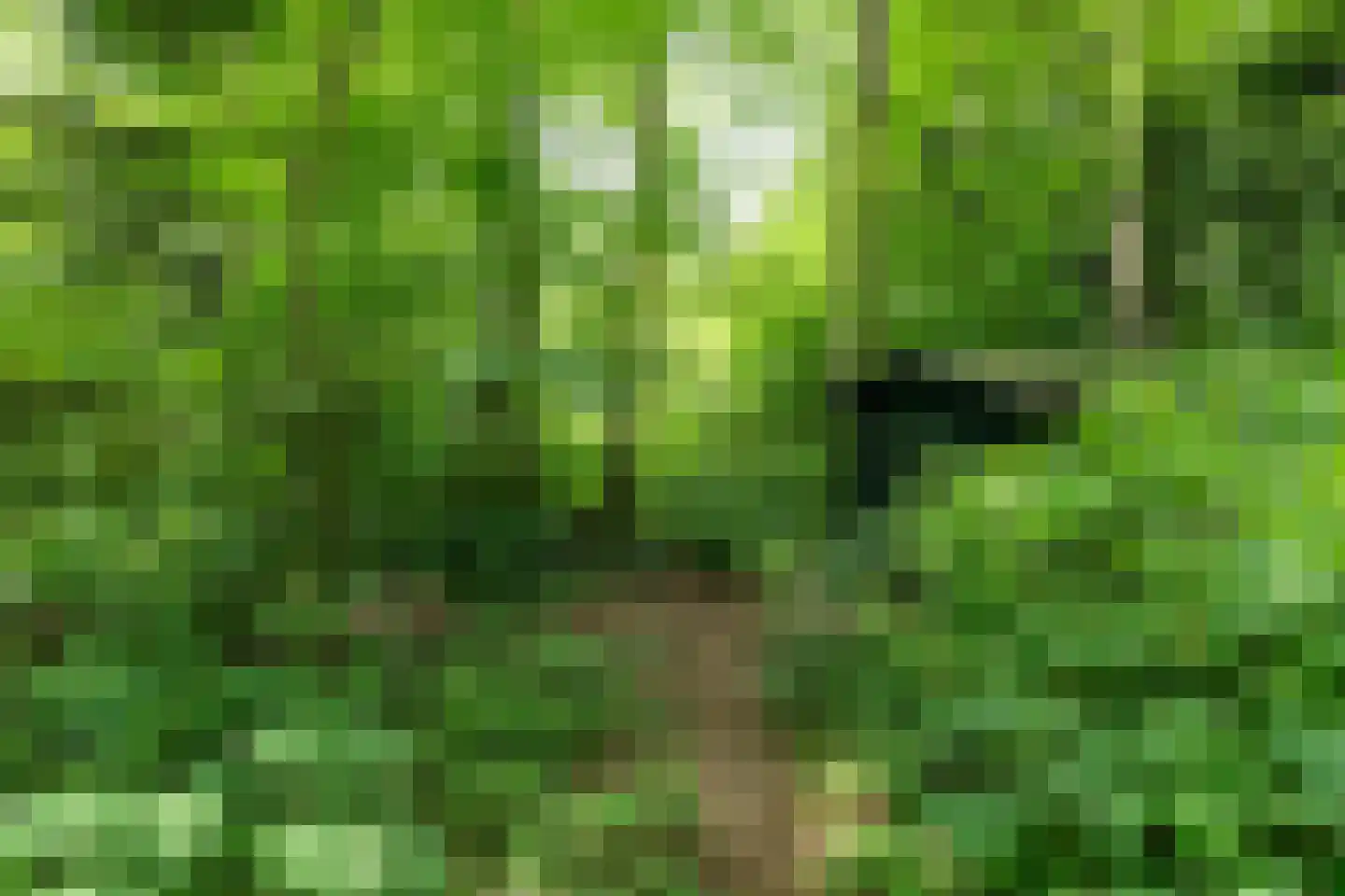 Koeduinweg 1 Aerdenhout thumbnail 46