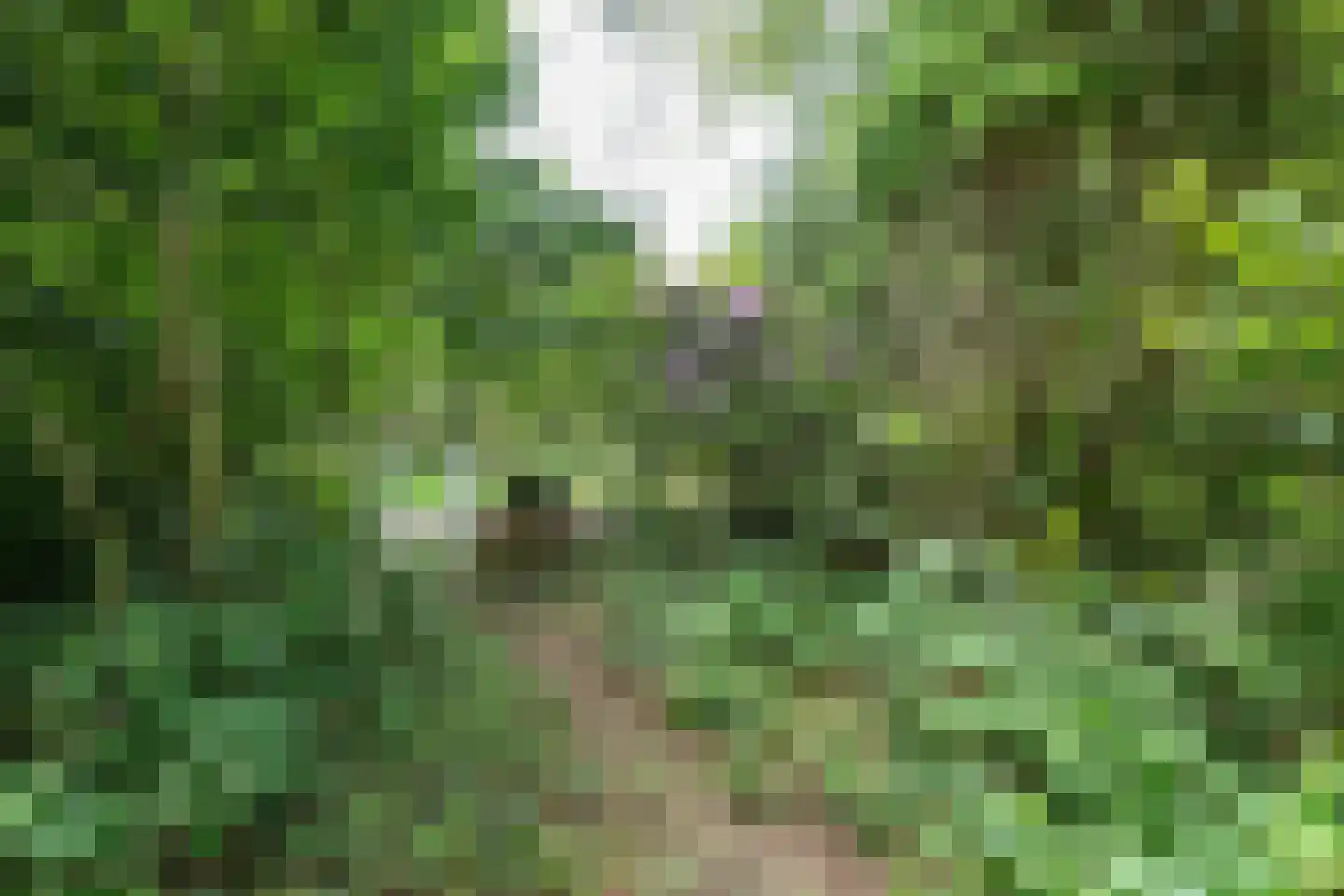 Koeduinweg 1 Aerdenhout thumbnail 47