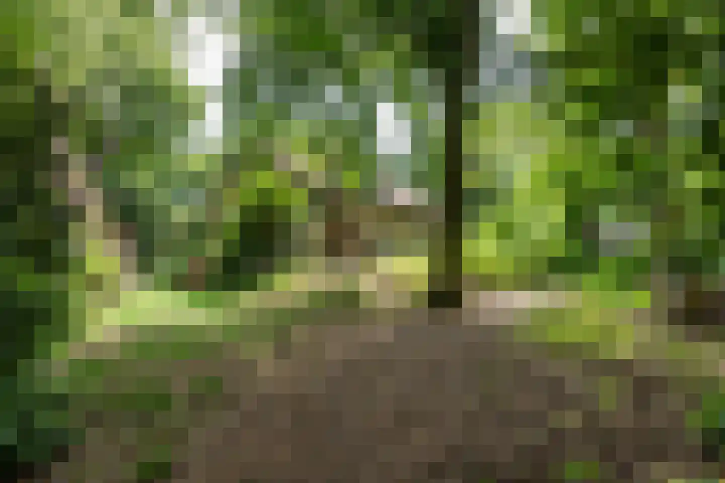 Koeduinweg 1 Aerdenhout thumbnail 48