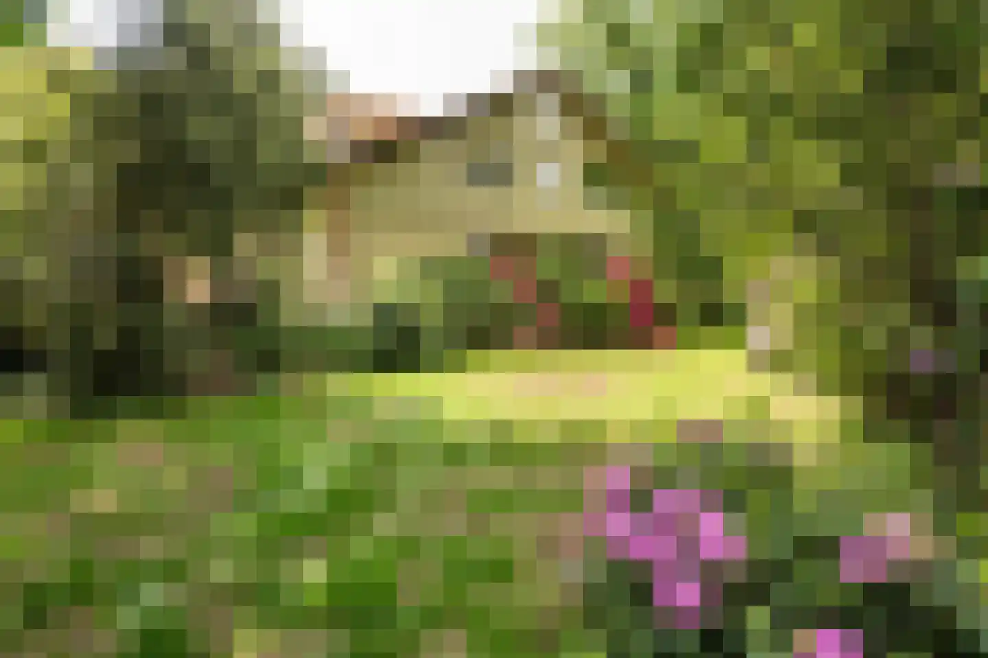 Koeduinweg 1 Aerdenhout thumbnail 49