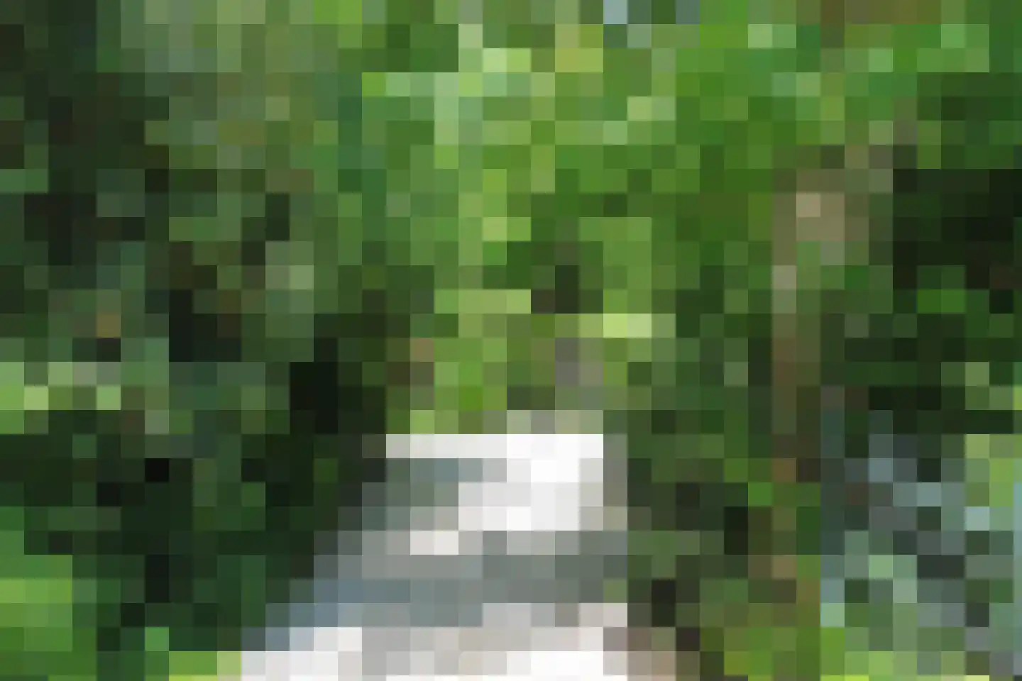Koeduinweg 1 Aerdenhout thumbnail 6