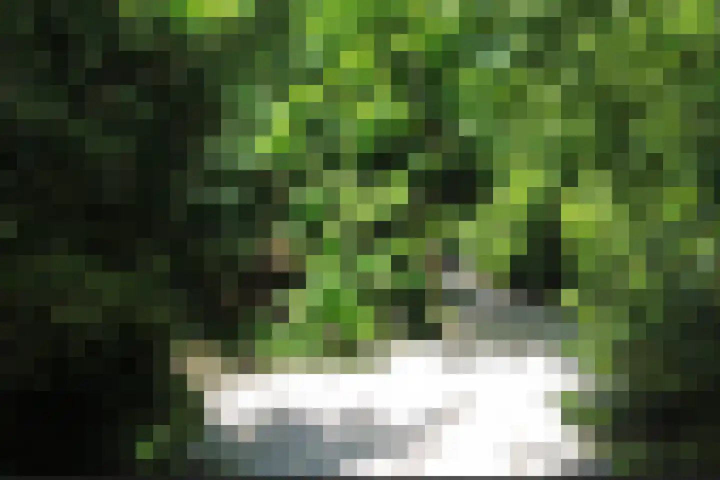 Koeduinweg 1 Aerdenhout thumbnail 7