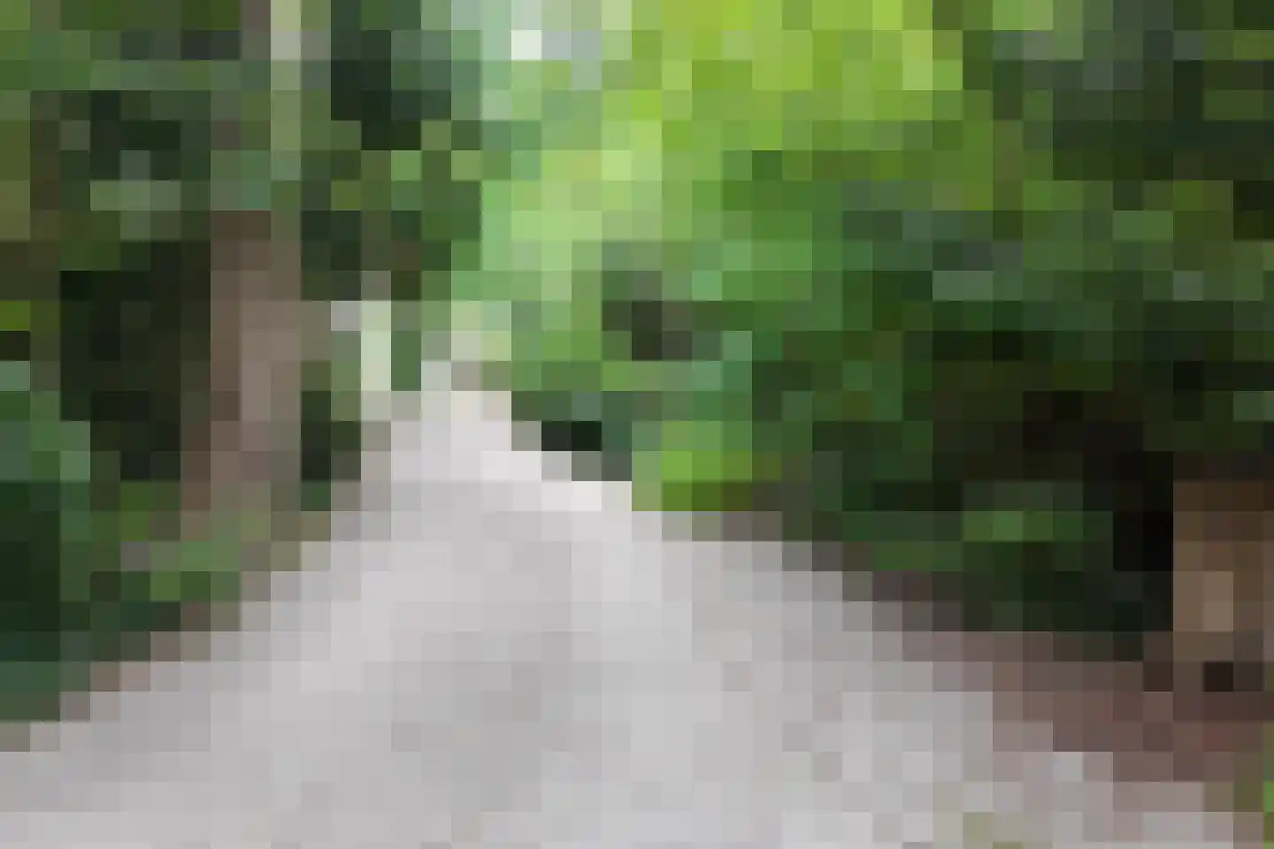 Koeduinweg 1 Aerdenhout thumbnail 8