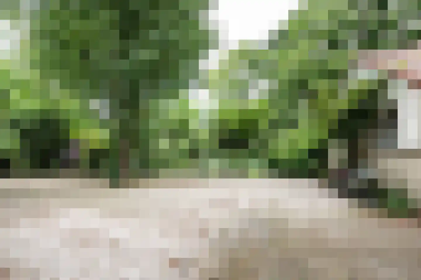 Koeduinweg 1 Aerdenhout thumbnail 9