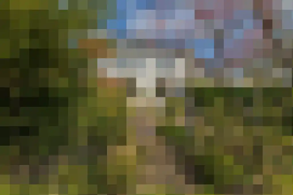 Koeduinweg 2 a Aerdenhout thumbnail 23