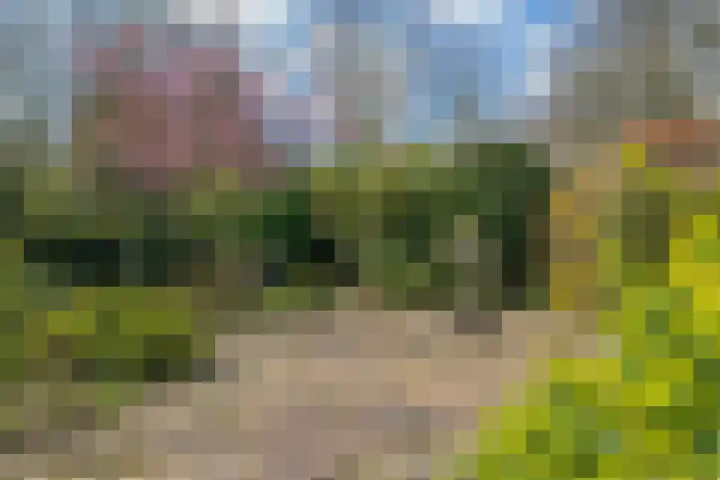 Koeduinweg 2 a Aerdenhout thumbnail 26