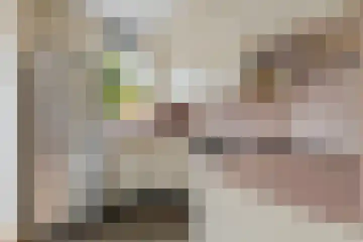 Koegelwieck 10 Hoofddorp thumbnail 12